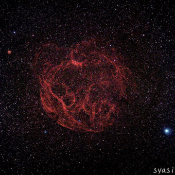 1月 sh2-240 シメイズ147