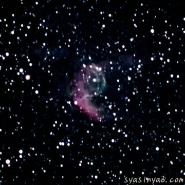 2月 トールのかぶと