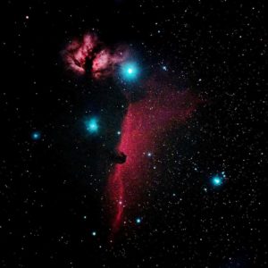 1月 燃える木・馬頭星雲