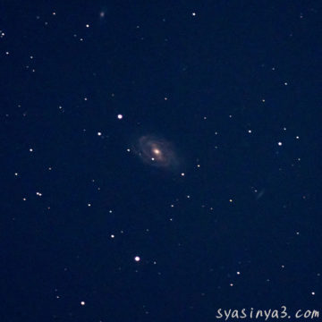 M109
