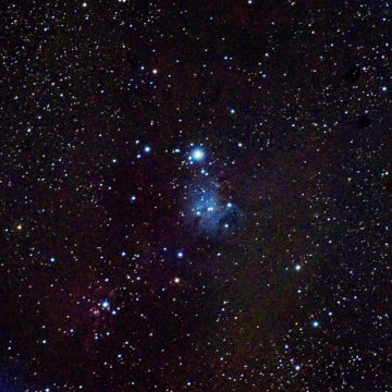 2月_NGC2264-クリスマスツリー星団